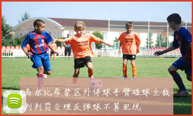 乌尔比希禁区外停球手臂碰球主裁判判罚合理反弹球不算犯规