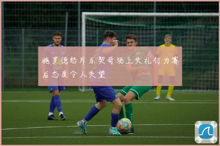 施罗德怒斥东契奇场上失礼行为赛后态度令人失望