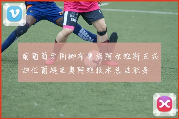 前葡萄牙国脚布鲁诺阿尔维斯正式担任葡超里奥阿维技术总监职务