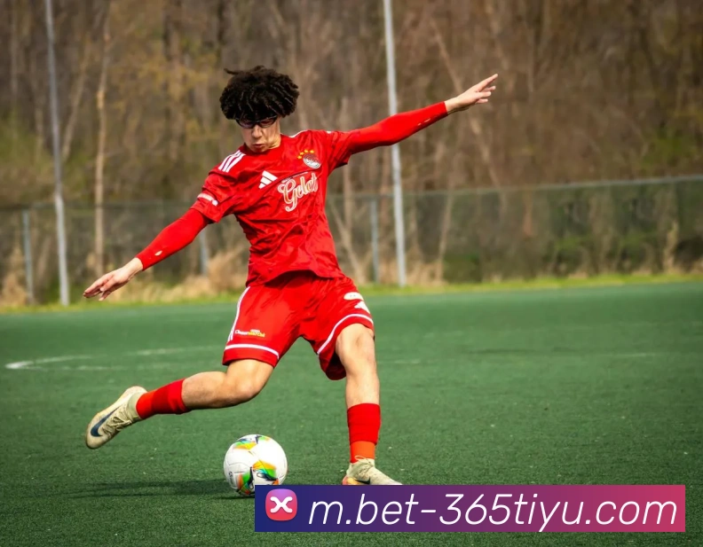 beats365体育发展历程